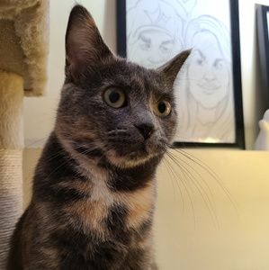 Meet your Posher, Corinne